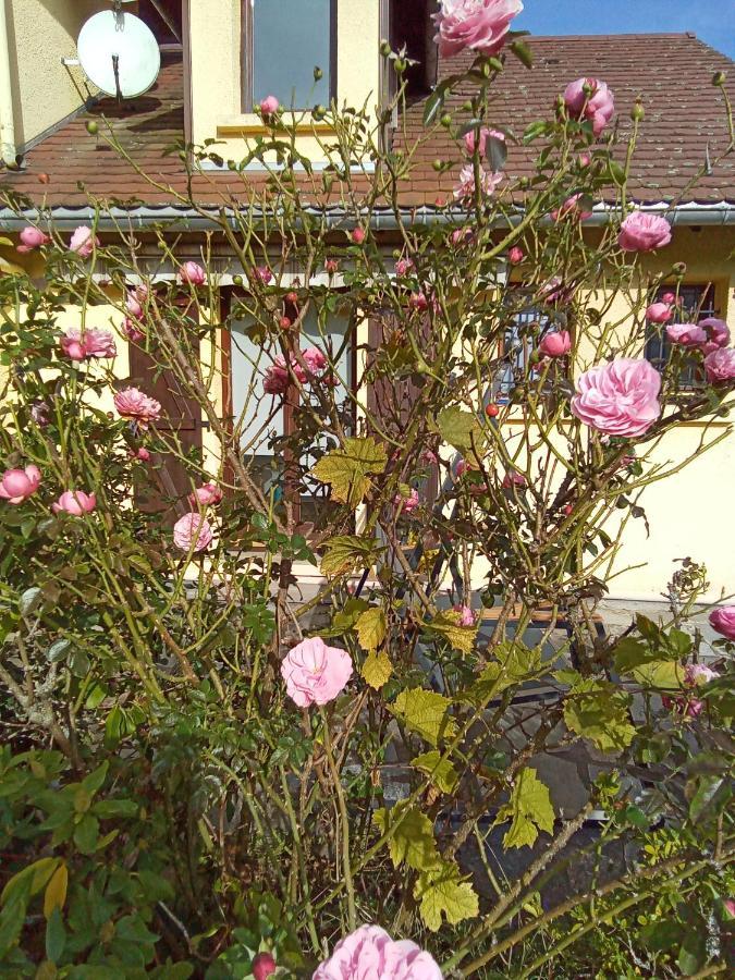 Gite Des Hortensias Raon-aux-Bois Экстерьер фото